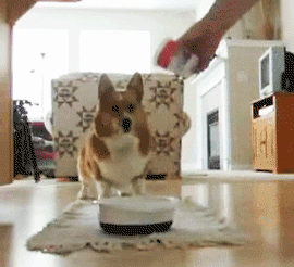 tumblr_inline_n8v8sm1haT1szh3ma.gif