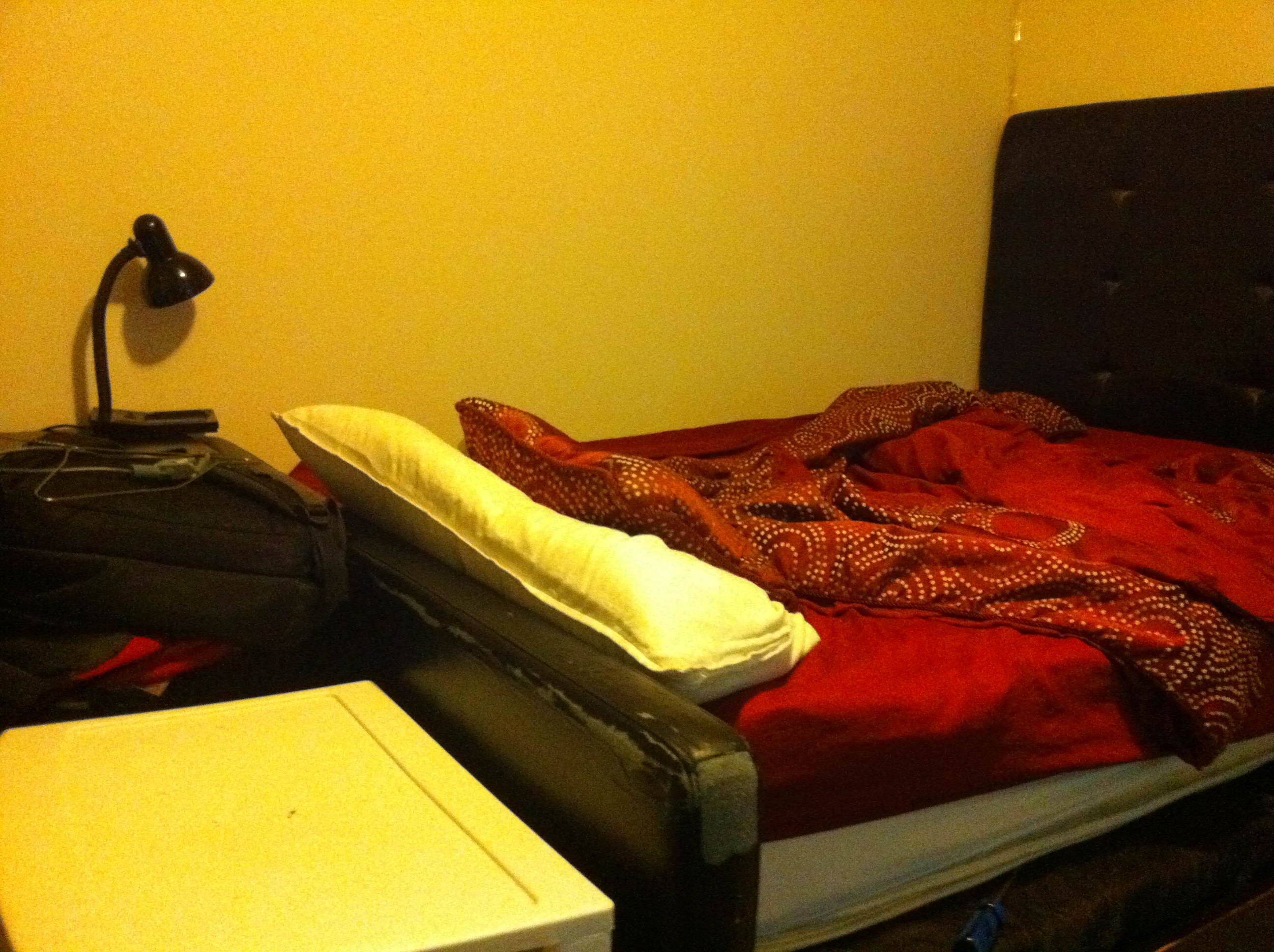 img0433m.jpg