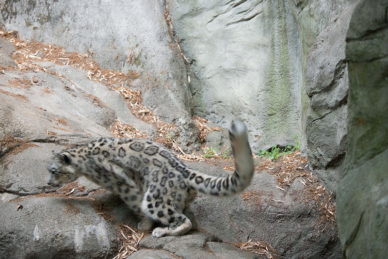 14344431091_ff11ec2c40_c.jpg