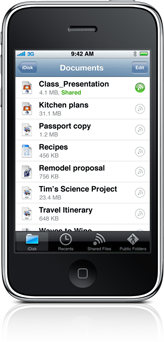 131825-idisk_iphone_app.png