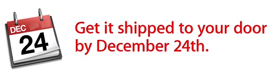 apple_store_dec24_delivery.jpg