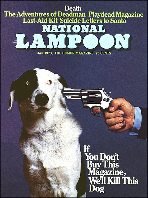 NatLampDog.jpg