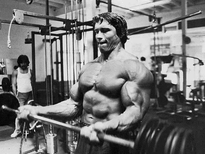 arnoldschwarzenegger227.jpg