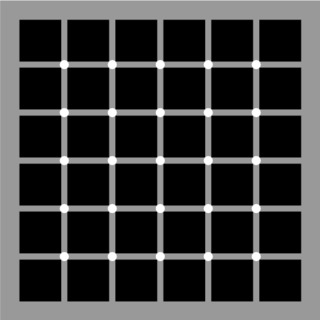 F1H3JF6FRJGP9ZH.SQUARE3.jpg