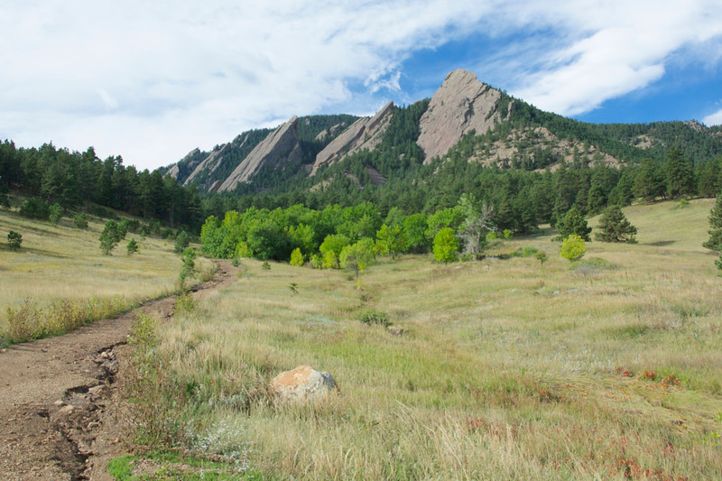DSC_0777-L.jpg
