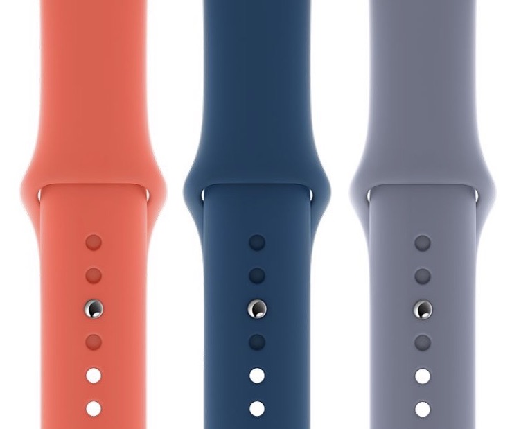 fall-2018-sport-bands.jpg