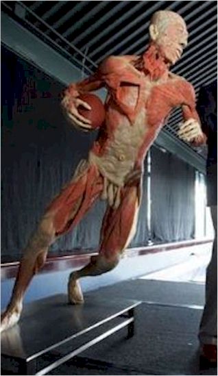 running_cadaver.jpg