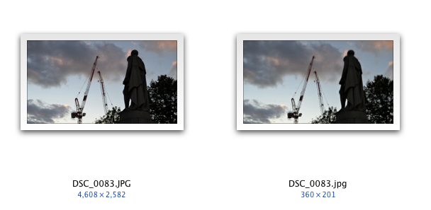 Picture_1.png