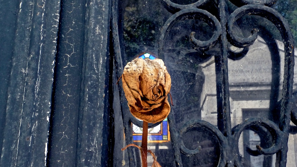 p1050685n.jpg