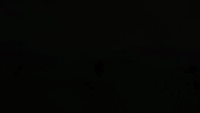 200w.gif