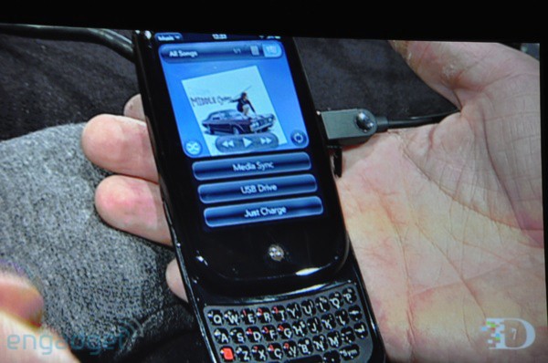 palm-d7-021.jpg
