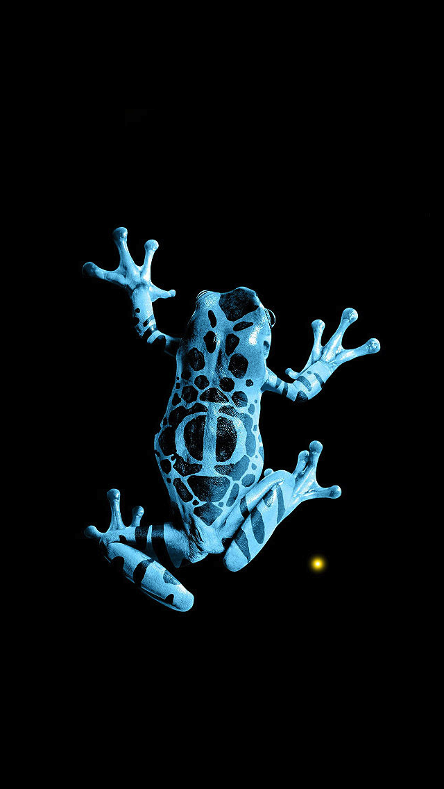 frog_by_troll12-d5g246o.png