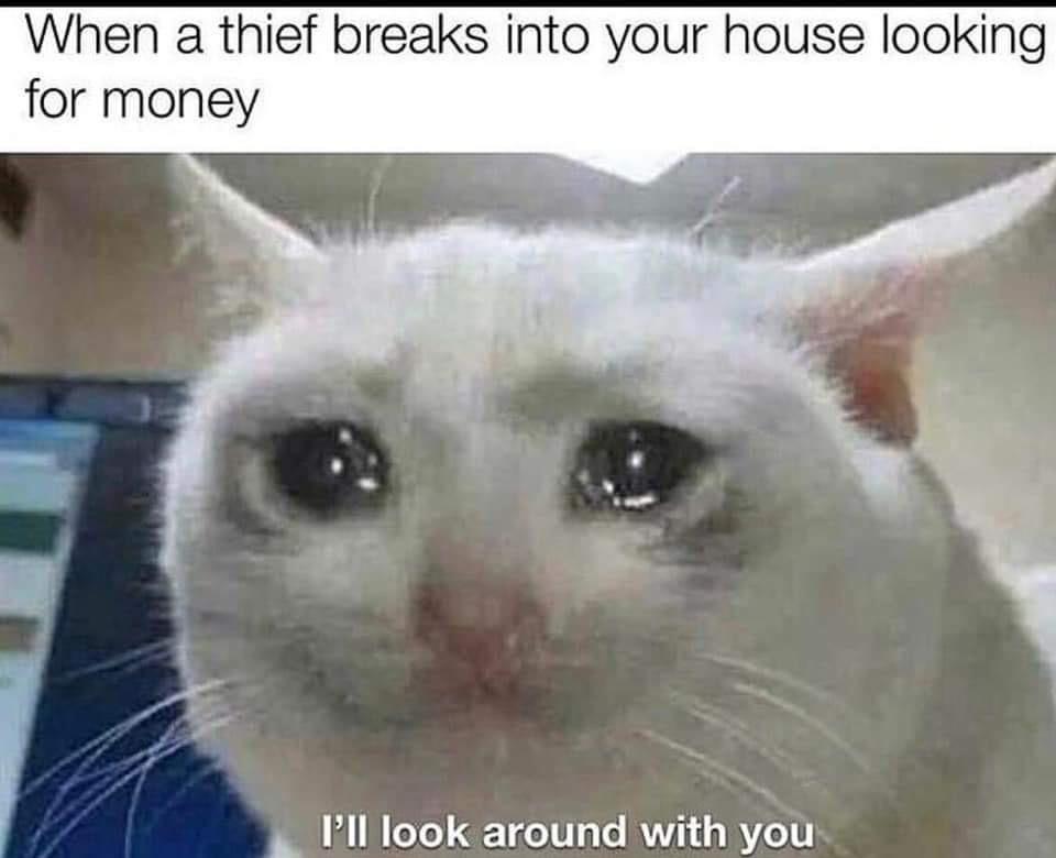 f233f29b942374fb0beb48b4e2029adf.jpg