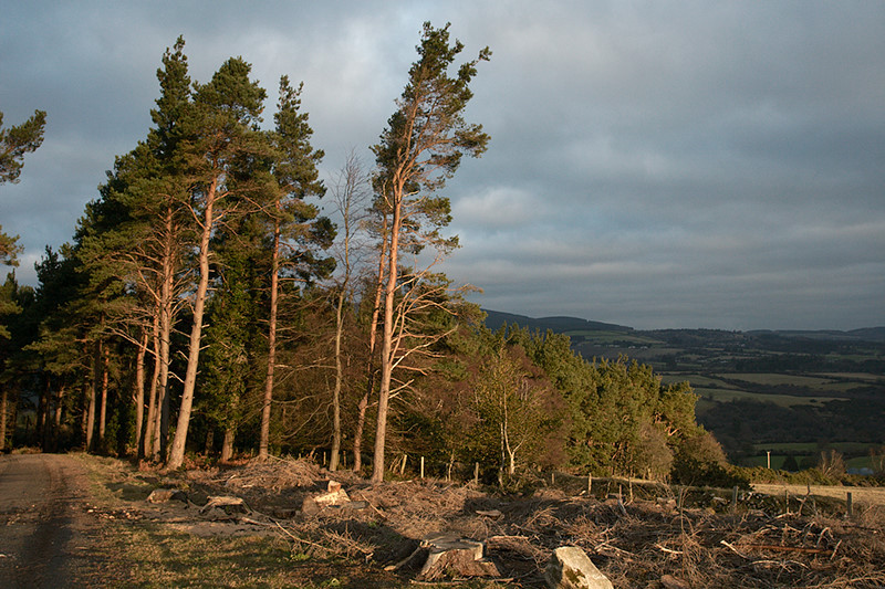 wicklow0040.jpg