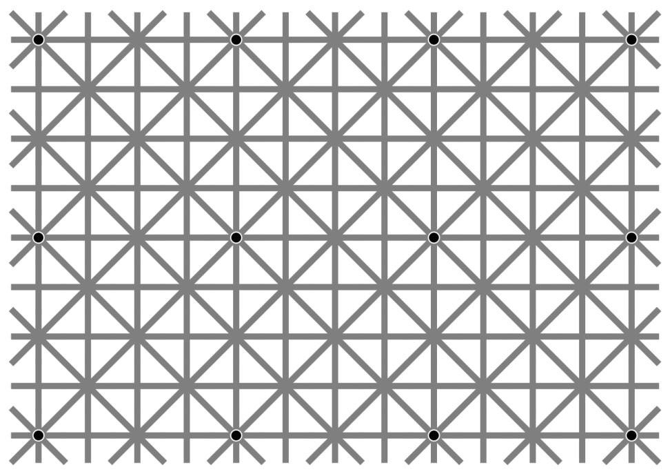 www.moillusions.com