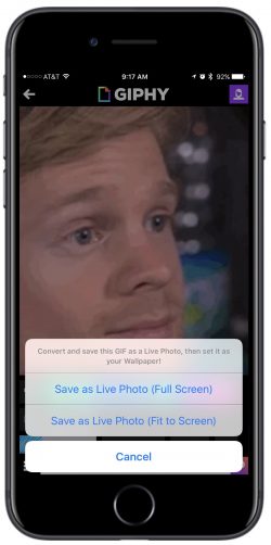 giphy-live-photo-250x502.jpg