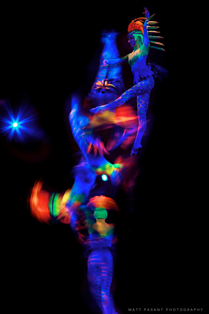 8108882498_fa0b447758_b.jpg