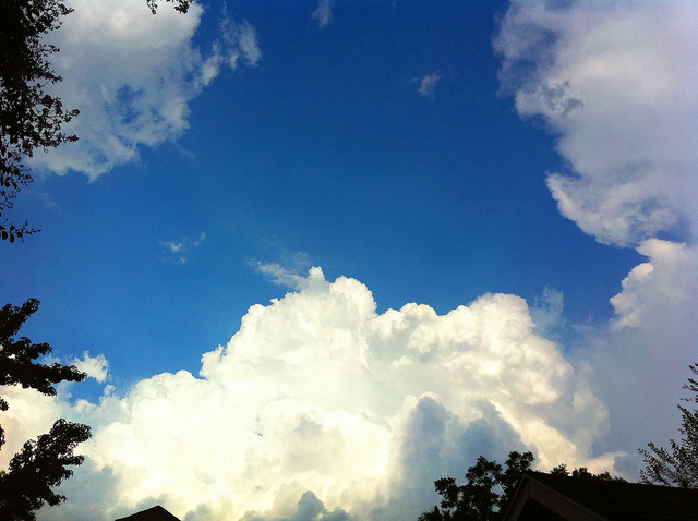 4766972292_3b6f9847de_z.jpg