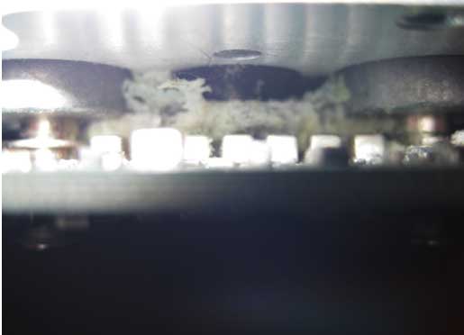 figure5.jpg