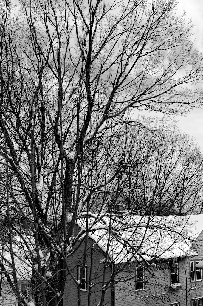 5487997990_eae1fe4d74_b.jpg
