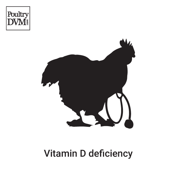 www.poultrydvm.com