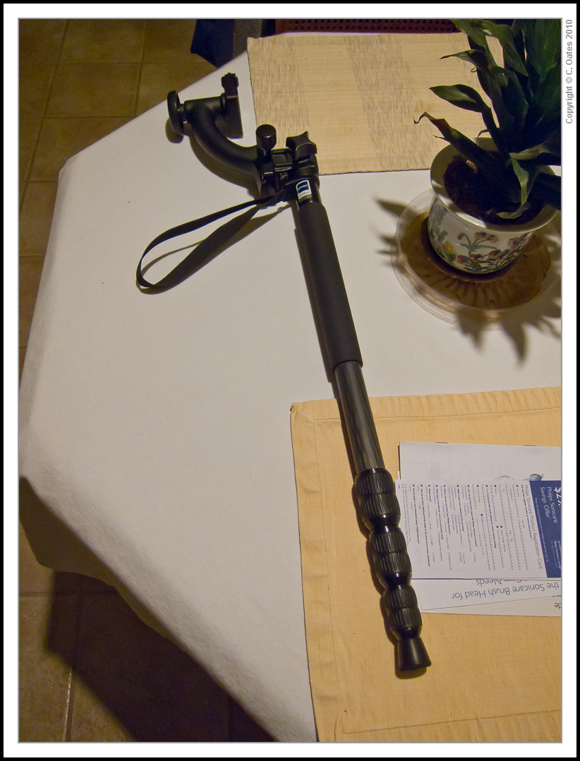 monopod-0266.jpg