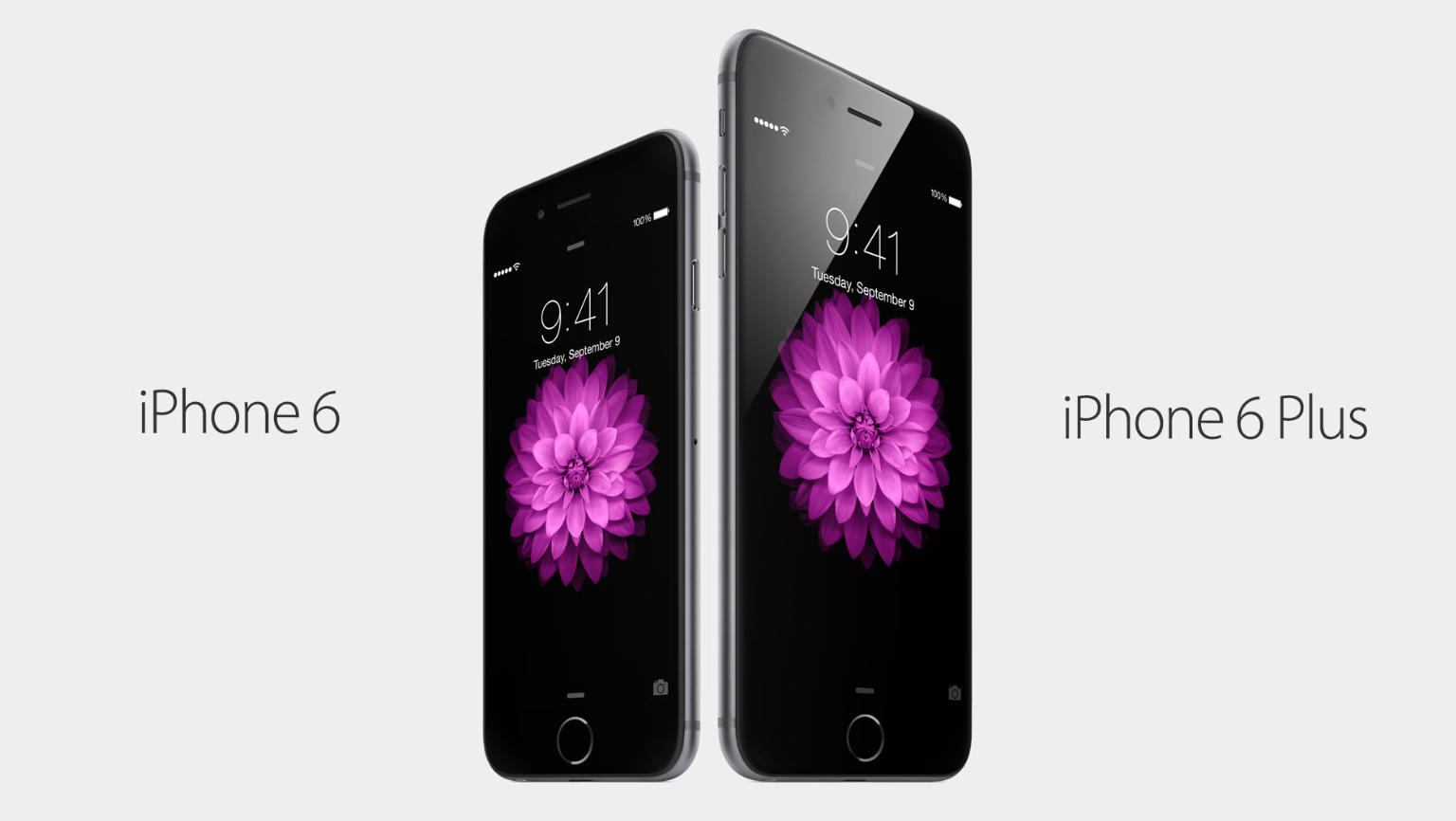 iPhone-6-iPhone-6-Plus.png