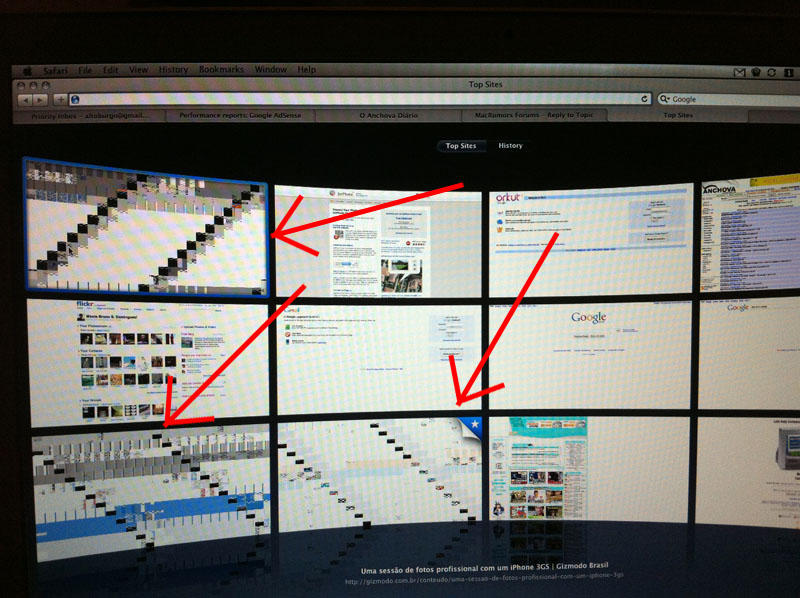 safari_issue2.jpg