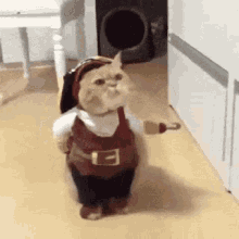 funny-animals-cat.gif