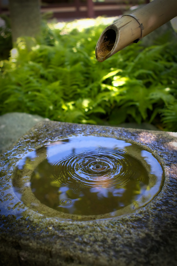 fountain.jpg