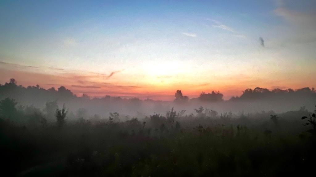 f06285c35d3237733eeb3ab75e23cc7f.jpg