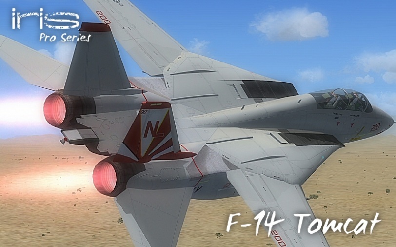 Iris_F14_Tomcat.jpg