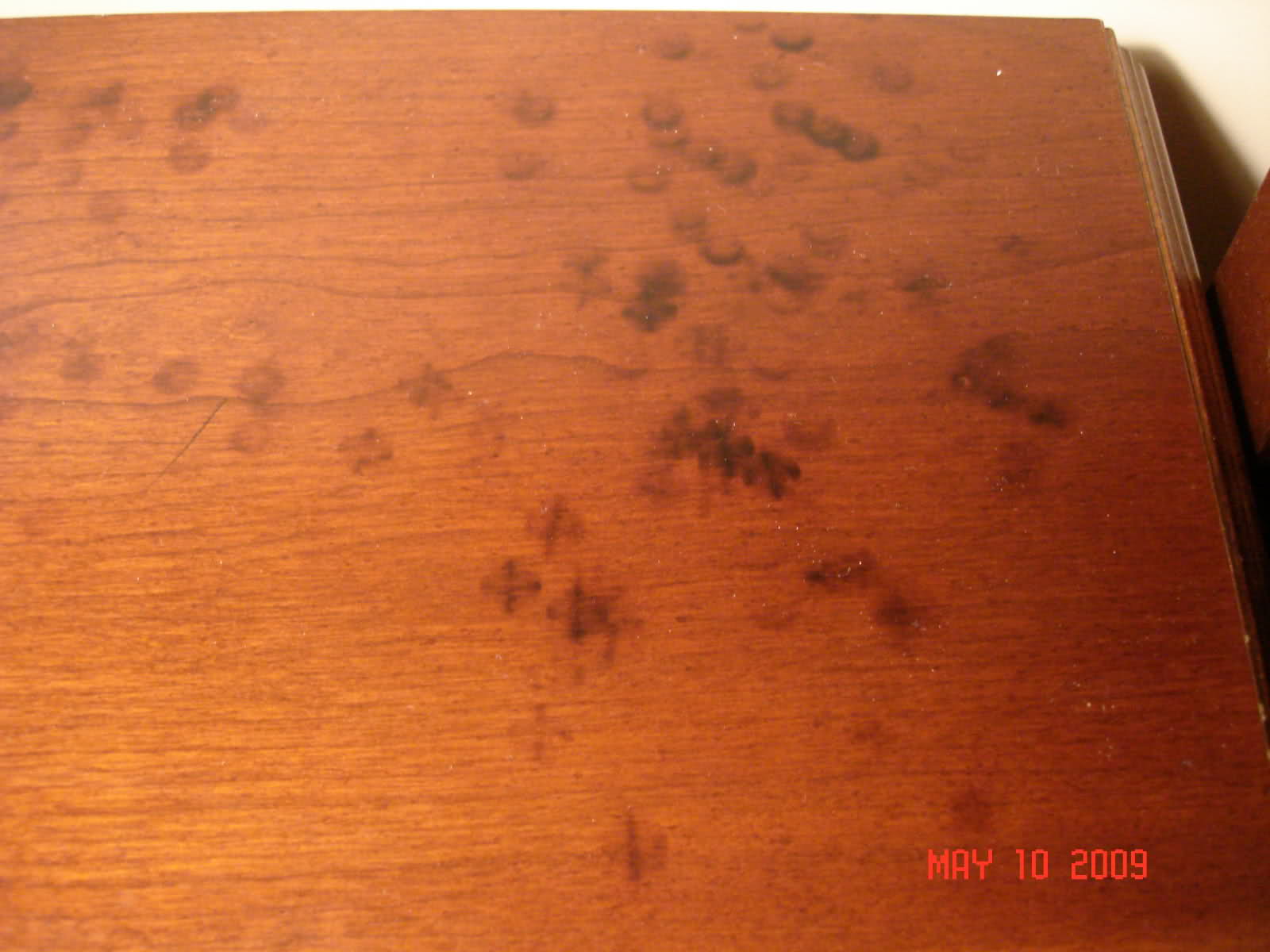 fp44l2.jpg