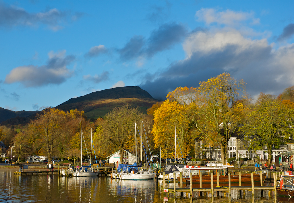 redscrees.jpg