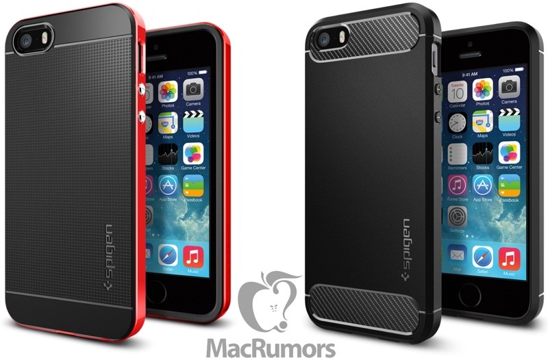 spigeniphonese-800x523.jpg