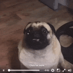 39dccf0b2c29d45876d246d0b6d51dec.gif
