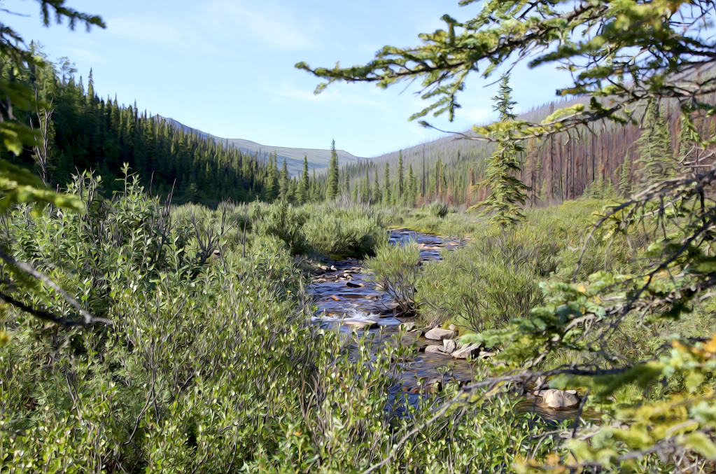 steese040.jpg