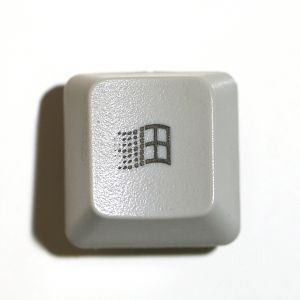 20070529-windowskey-f1.jpg