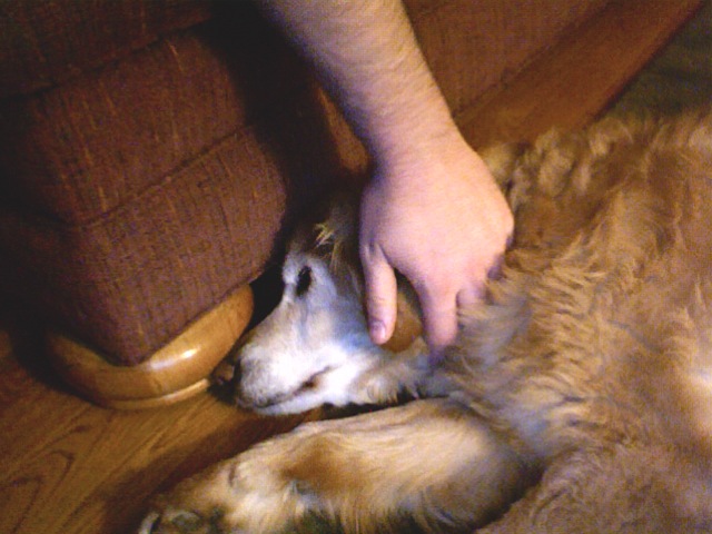 EarScratch.jpg