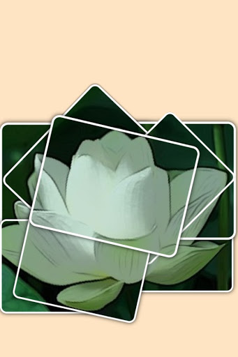 image_7.jpg