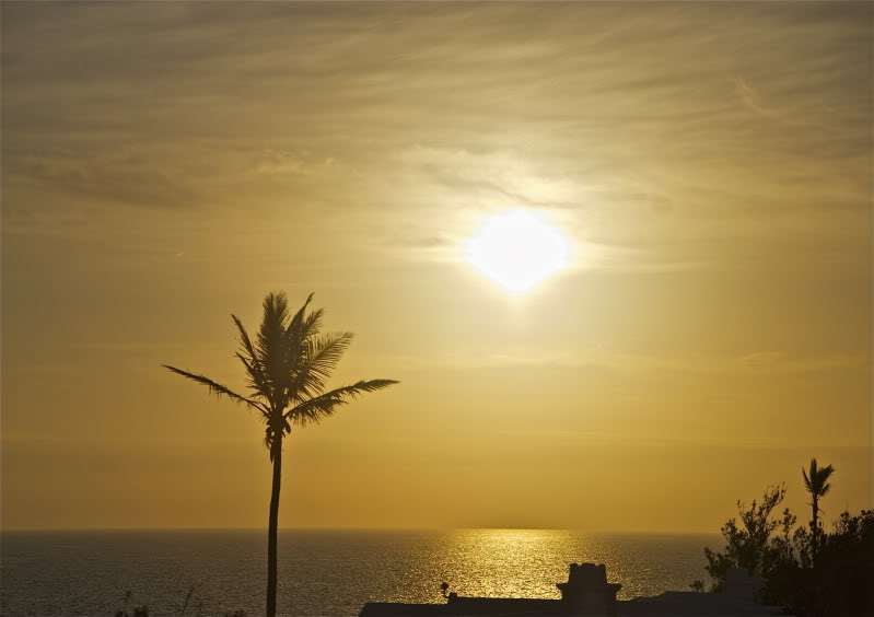 DSC_0007.jpg