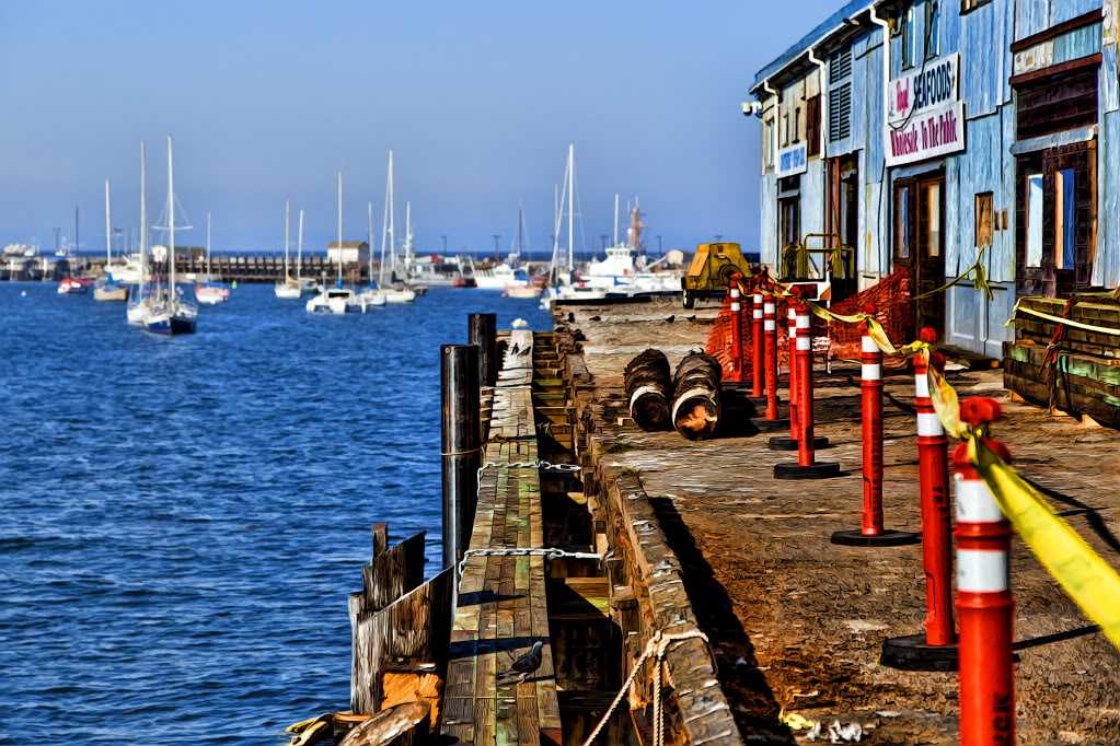 MonteryBay003.jpg