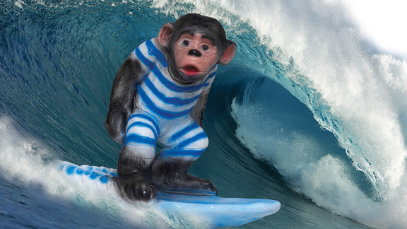 as_surf_surf_monkey_576.jpg