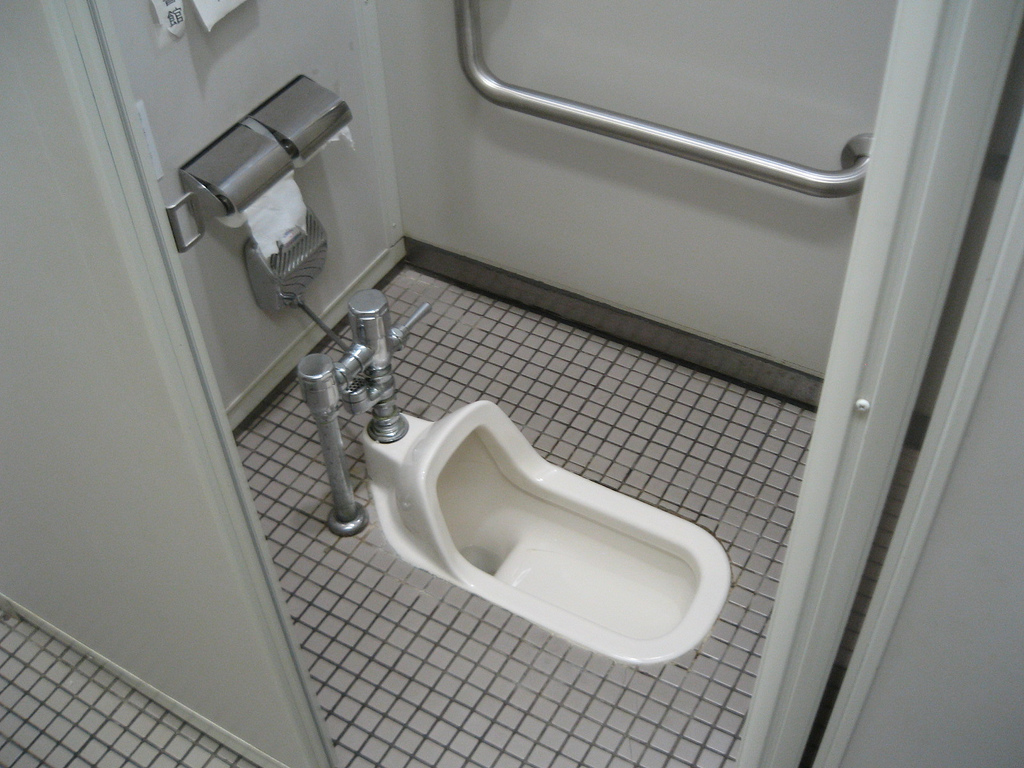 Asian-style_Toilet.jpg