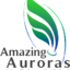 www.aurora-service.eu