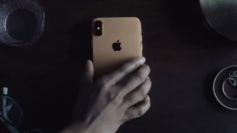 giphy.gif