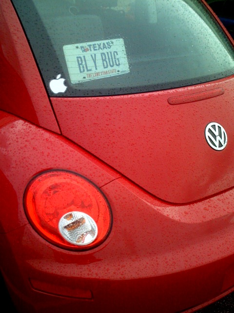 beetlesticker.jpg