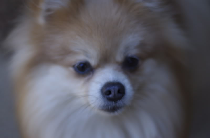 DSC_0003.jpg