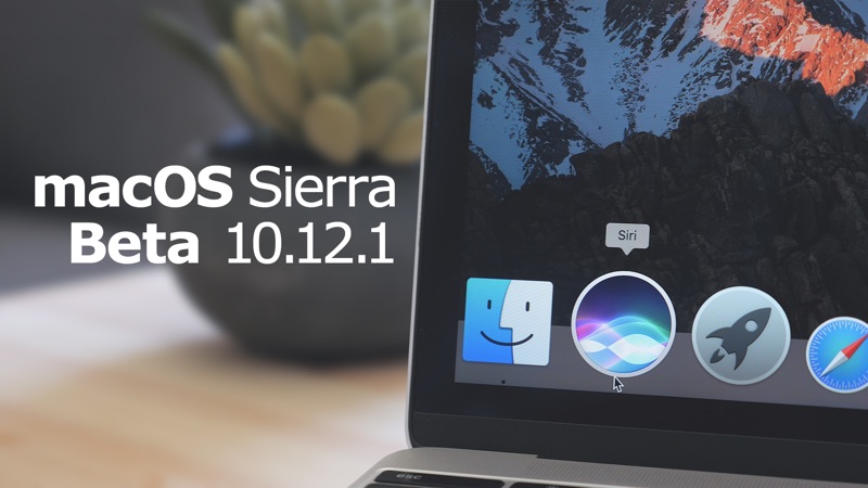 sierra10121beta.jpg