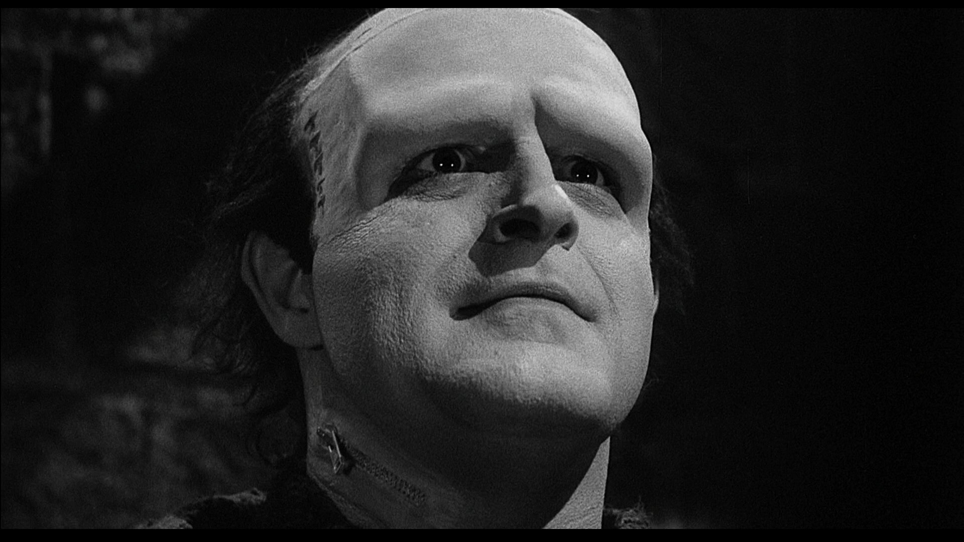 youngfrankenstein11519.jpg